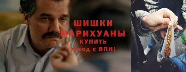 СК Зерноград