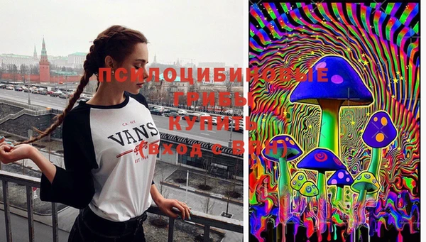 эйфоретик Зеленодольск