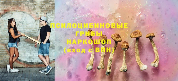 ПСИЛОЦИБИНОВЫЕ ГРИБЫ Зеленокумск