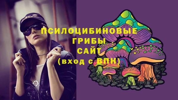 ПСИЛОЦИБИНОВЫЕ ГРИБЫ Зеленокумск