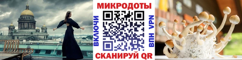 Купить где  Саки  Галлюциногенные грибы MAGIC MUSHROOMS 
